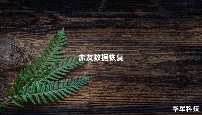 赤友數(shù)據(jù)恢復(fù)