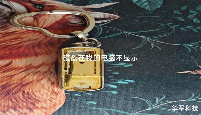 磁盤在我的電腦不顯示
