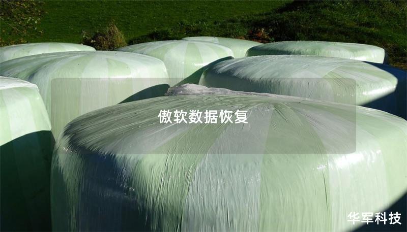 傲軟數(shù)據(jù)恢復(fù)