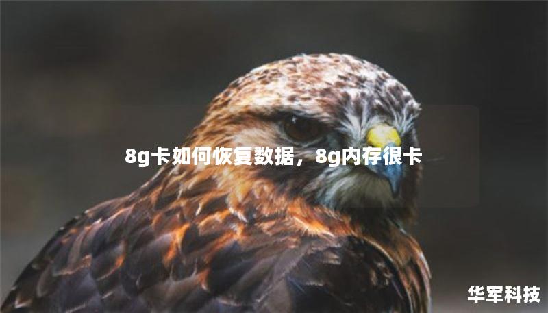 8g卡如何恢復(fù)數(shù)據(jù)，8g內(nèi)存很卡