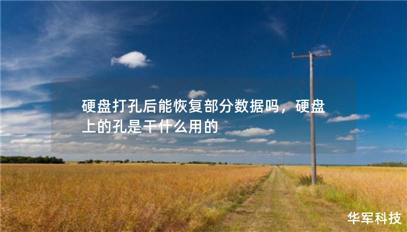硬盤打孔后能恢復(fù)部分?jǐn)?shù)據(jù)嗎，硬盤上的孔是干什么用的
